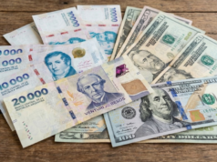 Taxa de câmbio estável do dólar e do peso: qual opção o mercado escolheu e quanto tempo durará o câmbio?