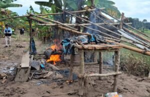 Corte ilegal de madeira: acampamento rural destruído na área florestal de Yuracyacu, em San Martín