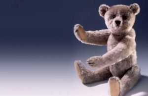 O nascimento do ursinho de pelúcia: como o presidente reagiu ao nomear um dos brinquedos favoritos do mundo