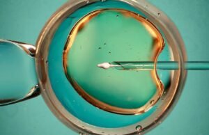 Uma opção “natural” para fertilização in vitro é eficaz na produção de bebês saudáveis, diz o teste
