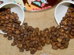 O café salvadorenho está a expandir a sua presença global com novos mercados em África e no Cone Sul