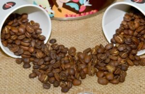 O café salvadorenho está a expandir a sua presença global com novos mercados em África e no Cone Sul