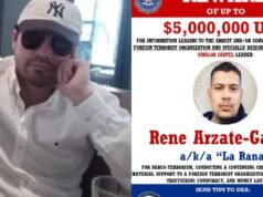 Ataque a “El Pantera”: esta é a luta entre “El Mini Lic” e René Arzate