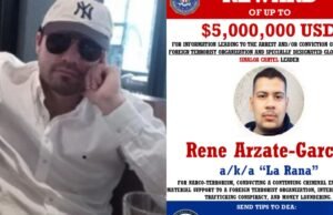 Ataque a “El Pantera”: esta é a luta entre “El Mini Lic” e René Arzate