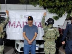 Marina levou o agente financeiro de Los Chapitos na Baja California Sur