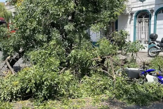 Uma série de ventos fortes causou danos e derrubou árvores em Rosário