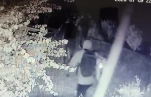 Eles prenderam dois homens procurados por um assalto violento em Pergamino