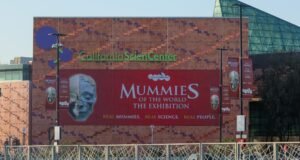 Homem supostamente armado baleado, morto pelo LAPD perto do California Science Center