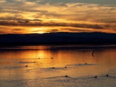 Homem do sul da Califórnia acusado de assassinato de adolescente desaparecido após corpo encontrado na área de Salton Sea