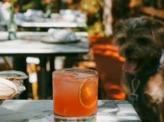 Os melhores pátios que aceitam cães para visitar em Los Angeles