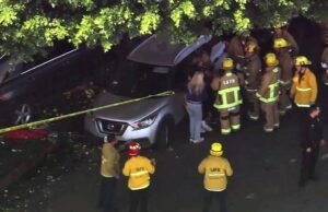 O barril do SUV atingiu o vendedor de flores no centro de Los Angeles, ferindo 6