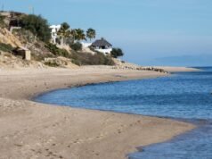 Participantes: Não deixem que as exportações de gás natural destruam o ecossistema do Golfo da Califórnia