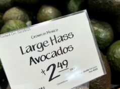 Líderes e empresas globais estão reagindo à volatilidade dos preços nos EUA