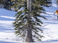 Os perigos e prazeres do esqui sertão: por que alguns correm o risco