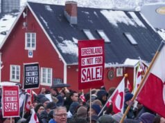 A pressão de Trump pela Groenlândia revela fraqueza política, revela nova pesquisa