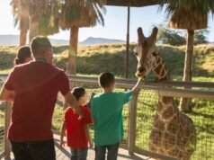 10 coisas divertidas para fazer com as crianças em Palm Springs