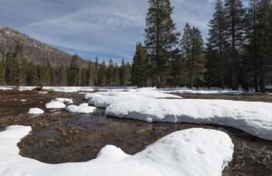 O inverno quente da Califórnia trouxe pouca neve