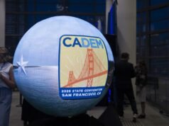 Os democratas temem cada vez mais que muitos candidatos na corrida para governador possam levar a uma vitória republicana