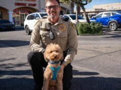 Goldendoodle abandonado no aeroporto foi recolhido pela polícia que o resgatou