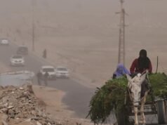 Grupo de ajuda suspende trabalho em hospital de Gaza, dizem homens armados