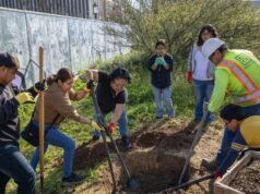 Quase metade do LA County Hall pode ser redundante, mostra novo mapa