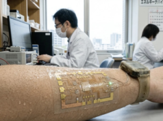 Inovação energética: o seu suor pode ser a fonte de eletricidade de amanhã