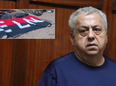 Os documentos mostram como o ELN trocou armas por cocaína com um primo de Bashar al-Assad enquanto negociava a paz com Petro.