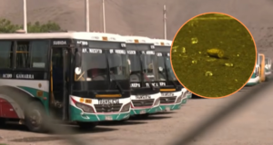 ‘Los Antitren’, gangue de sequestradores e extorsionários, assume responsabilidade pelo ataque a ônibus em Lima Norte