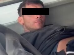 Ele tentou roubar um caminhão em Neuquén, adormeceu no banco do motorista e foi preso.