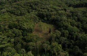 Conexão na Amazônia: o projeto que pode mudar o acesso à internet nas áreas esquecidas