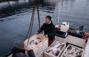 Da tradição à incerteza: o derretimento das calotas polares A pesca tradicional da Groenlândia