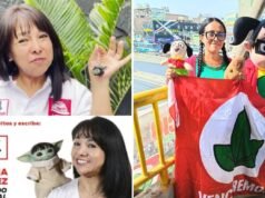 Baby Yoda e Chilindrina: Indecopi pede aos candidatos que não usem caracteres protegidos