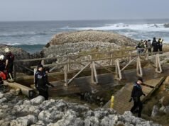 Juiz que investiga acidente de pedestre em Santander nomeia Governo Central como “único responsável pela manutenção”