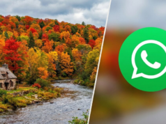 Modo outono no WhatsApp: como ativá-lo para fortalecer o aplicativo