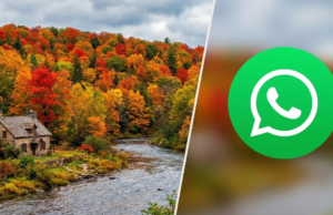 Modo outono no WhatsApp: como ativá-lo para fortalecer o aplicativo