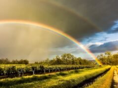 Tempo em Alajuela: quais são as temperaturas mais altas e mais baixas neste 12 de março