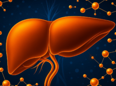 Quanto tempo leva para o fígado se formar e como mantê-lo saudável?