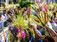 O Centro Histórico de San Salvador se enche de palmeiras e fé no início da Semana Santa no Domingo de Ramos