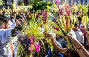 O Centro Histórico de San Salvador se enche de palmeiras e fé no início da Semana Santa no Domingo de Ramos
