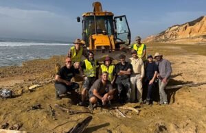 Osso de baleia com 10 milhões de anos encontrado em praia em Portugal: “o mais completo da Europa”