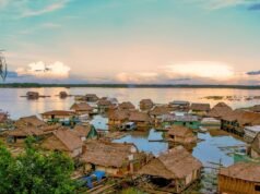 As empresas da selva não pagam IVA: estes são os termos e condições dos benefícios