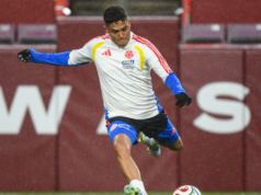 Seleção da Colômbia para amistoso contra a França: Néstor Lorenzo planeja mudanças