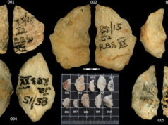 Descoberta surpreendente na África do Sul: os primeiros humanos usaram veneno em suas flechas há 60 mil anos