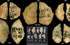 Descoberta surpreendente na África do Sul: os primeiros humanos usaram veneno em suas flechas há 60 mil anos