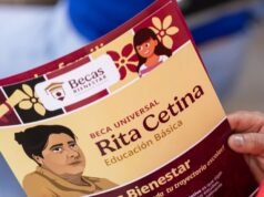 Passos a seguir após a inscrição na Bolsa Primária Rita Cetina 2026