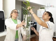 Startup científica de Misiones avança contra uma das pragas mais perigosas da agricultura