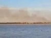 Incêndio nas ilhas do Delta do Paraná: 400 hectares foram consumidos pelo fogo