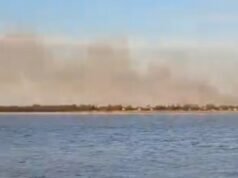 Incêndio nas ilhas do Delta do Paraná: 400 hectares foram consumidos pelo fogo