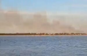 Incêndio nas ilhas do Delta do Paraná: 400 hectares foram consumidos pelo fogo
