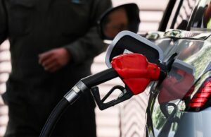 Direto sobre os preços da gasolina: Tesouro apóia estímulo financeiro para Magna e Premium